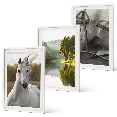 Conjunto de 3 quadros com moldura Rio dos Cavalos Brancos natureza
