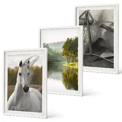 Conjunto de 3 quadros com moldura tema natureza rio dos cavalos brancos