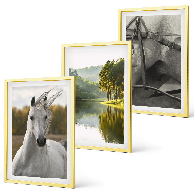 Conjunto de 3 quadros com moldura Rio dos Cavalos Brancos natureza