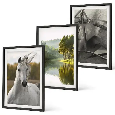 Conjunto de 3 quadros com moldura tema natureza rio dos cavalos brancos