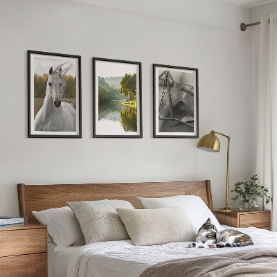 Conjunto de 3 quadros com moldura Rio dos Cavalos Brancos natureza
