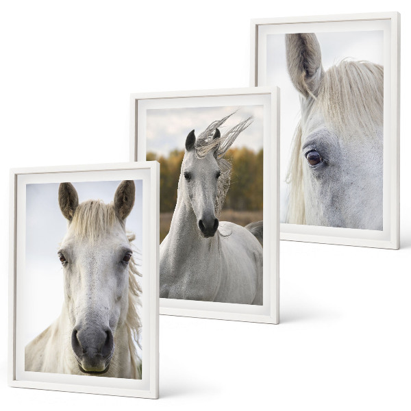 Conjunto de 3 quadros com moldura Cavalos brancos na natureza
