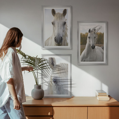 Conjunto de 3 quadros com moldura Cavalos brancos na natureza