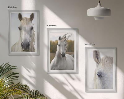 Conjunto de 3 quadros com moldura Cavalos brancos na natureza