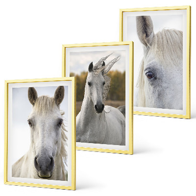 Conjunto de 3 quadros com moldura Cavalos brancos na natureza