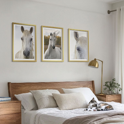 Conjunto de 3 quadros com moldura Cavalos brancos na natureza