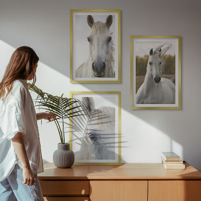 Conjunto de 3 quadros com moldura Cavalos brancos na natureza