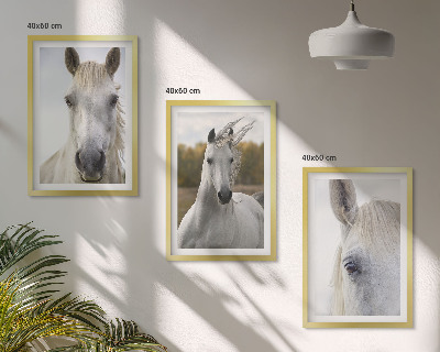Conjunto de 3 quadros com moldura Cavalos brancos na natureza