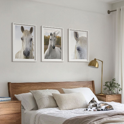 Conjunto de 3 quadros com moldura Cavalos brancos na natureza