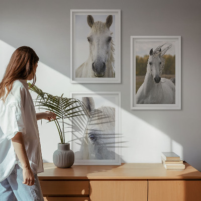 Conjunto de 3 quadros com moldura Cavalos brancos na natureza