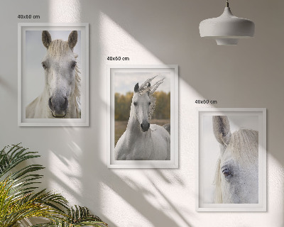 Conjunto de 3 quadros com moldura Cavalos brancos na natureza