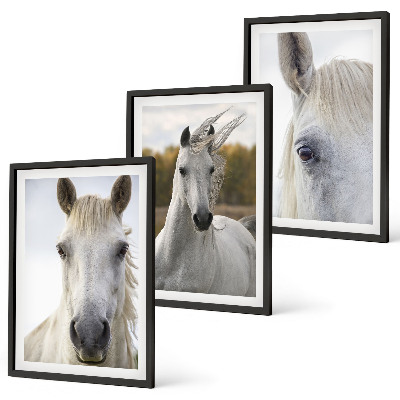 Conjunto de 3 quadros com moldura Cavalos brancos na natureza