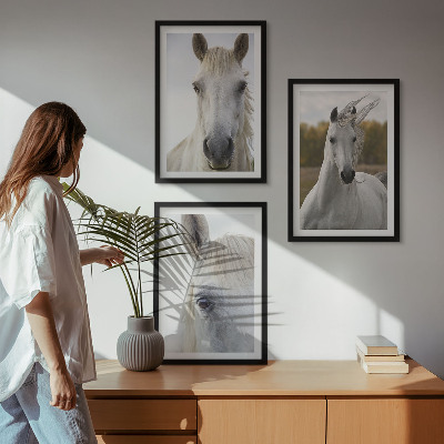 Conjunto de 3 quadros com moldura Cavalos brancos na natureza
