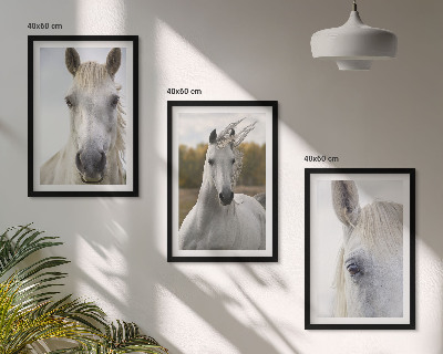 Conjunto de 3 quadros com moldura Cavalos brancos na natureza