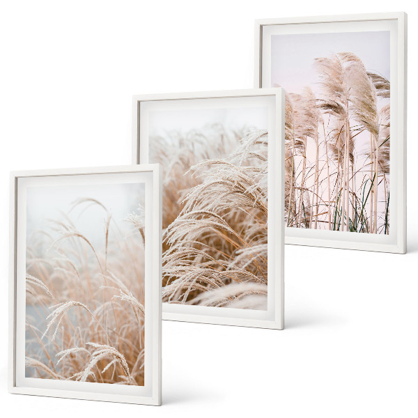 Conjunto de 3 quadros com moldura Campos de grama em tons de marrom e bege.