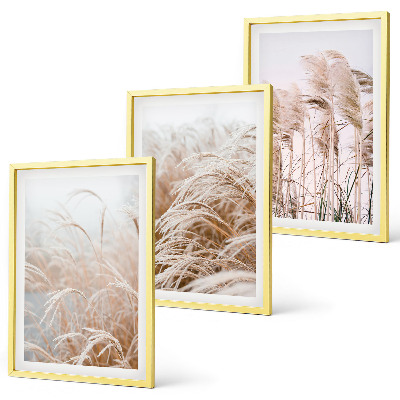 Conjunto de 3 quadros com moldura Campos de grama em tons de marrom e bege.