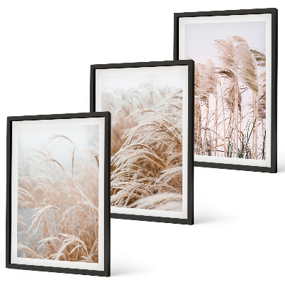 Conjunto de 3 quadros com moldura Campos de grama em tons de marrom e bege.