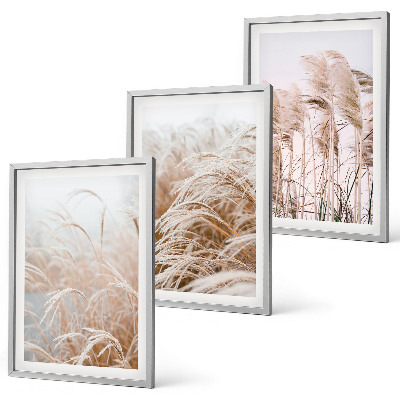 Conjunto de 3 quadros com moldura Campos de grama em tons de marrom e bege.