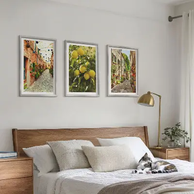 Conjunto de 3 quadros com moldura estampa de ruas com flores de limão ao fundo