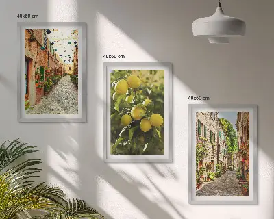 Conjunto de 3 quadros com moldura estampa de ruas com flores de limão ao fundo