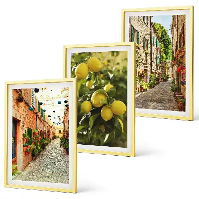 Conjunto de 3 quadros com moldura estampa de ruas com flores de limão ao fundo