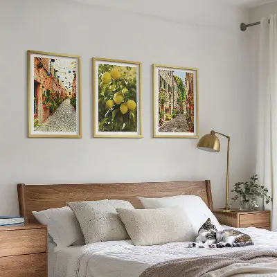 Conjunto de 3 quadros com moldura estampa de ruas com flores de limão ao fundo