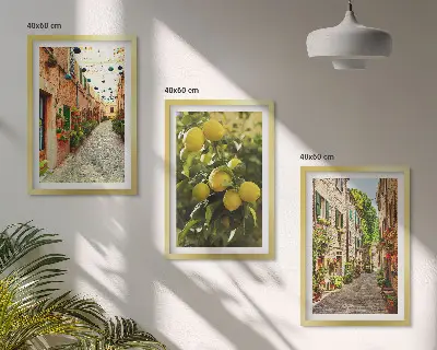 Conjunto de 3 quadros com moldura estampa de ruas com flores de limão ao fundo