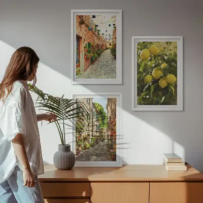 Conjunto de 3 quadros com moldura estampa de ruas com flores de limão ao fundo