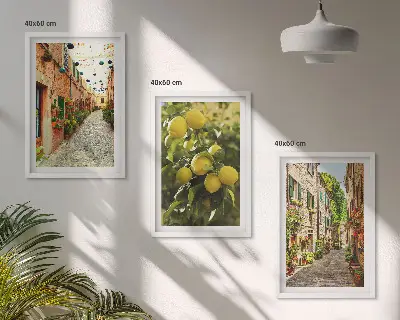 Conjunto de 3 quadros com moldura estampa de ruas com flores de limão ao fundo