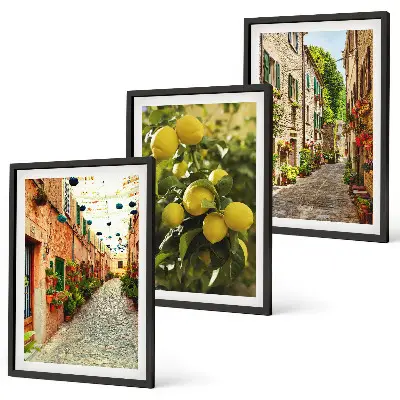 Conjunto de 3 quadros com moldura estampa de ruas com flores de limão ao fundo