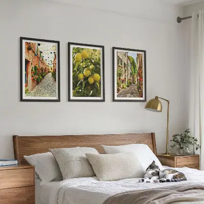 Conjunto de 3 quadros com moldura estampa de ruas com flores de limão ao fundo