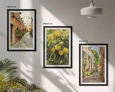 Conjunto de 3 quadros com moldura estampa de ruas com flores de limão ao fundo