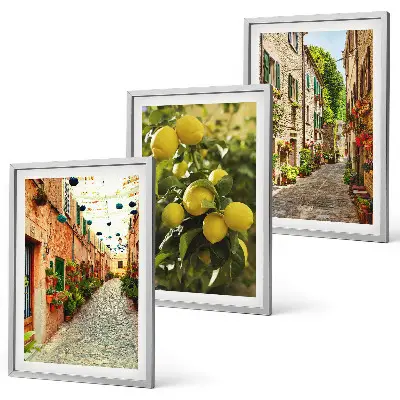 Conjunto de 3 quadros com moldura estampa de ruas com flores de limão ao fundo