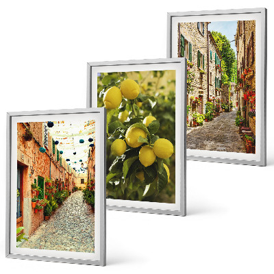 Conjunto de 3 quadros com moldura Ruas com flores de limão ao fundo