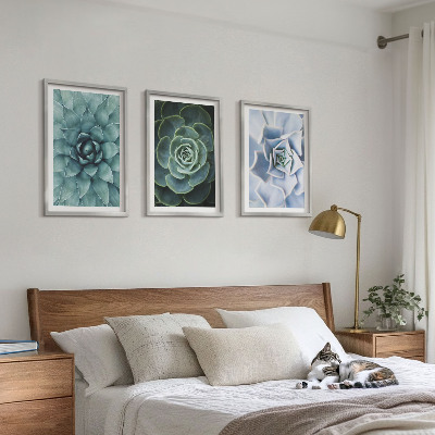 Conjunto de 3 quadros com moldura Plantas suculentas verde turquesa