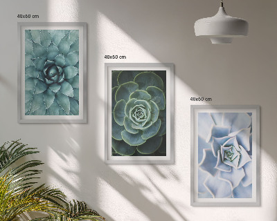 Conjunto de 3 quadros com moldura Plantas suculentas verde turquesa