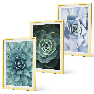 Conjunto de 3 quadros com moldura Plantas suculentas verde turquesa