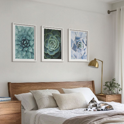 Conjunto de 3 quadros com moldura Plantas suculentas verde turquesa