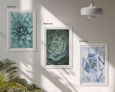 Conjunto de 3 quadros com moldura Plantas suculentas verde turquesa