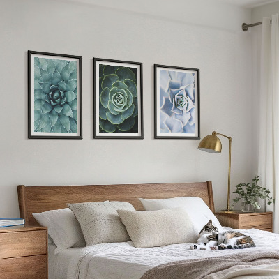Conjunto de 3 quadros com moldura Plantas suculentas verde turquesa