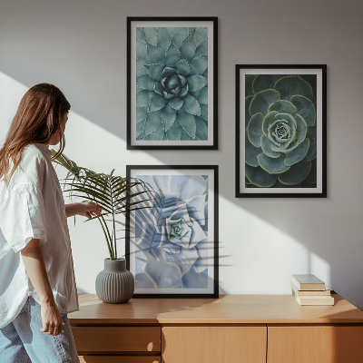 Conjunto de 3 quadros com moldura Plantas suculentas verde turquesa