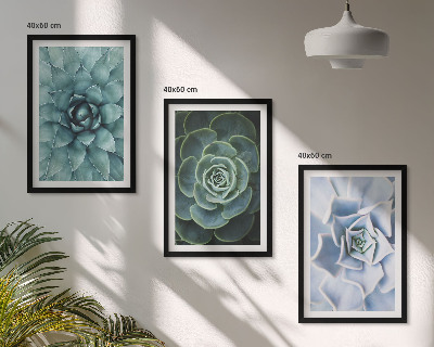 Conjunto de 3 quadros com moldura Plantas suculentas verde turquesa