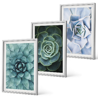 Conjunto de 3 quadros com moldura Plantas suculentas verde turquesa