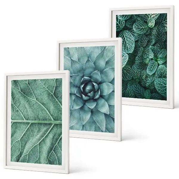 Conjunto de quadros para sala de estar com detalhe de folhas de planta