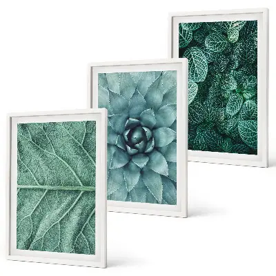 Conjunto de quadros para sala de estar com detalhe de folhas de planta