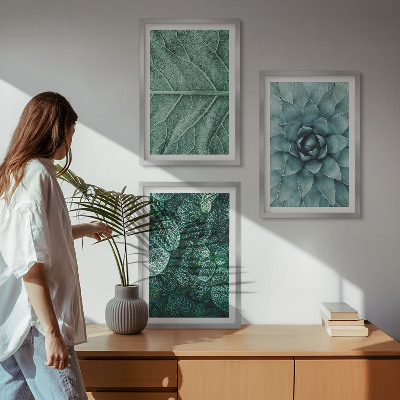 Conjunto de quadros para sala de estar Detalhe das folhas da planta