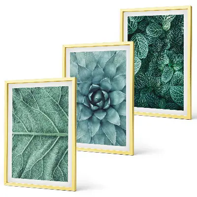 Conjunto de quadros para sala de estar com detalhe de folhas de planta