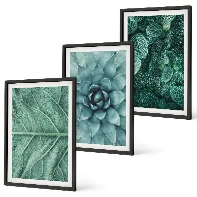 Conjunto de quadros para sala de estar com detalhe de folhas de planta