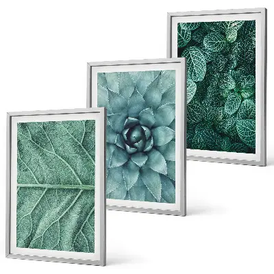 Conjunto de quadros para sala de estar com detalhe de folhas de planta
