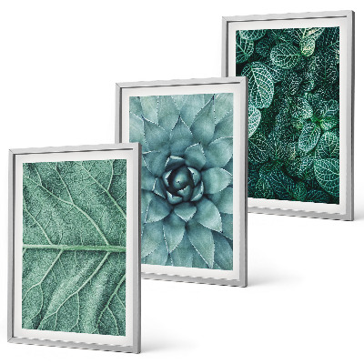 Conjunto de quadros para sala de estar Detalhe das folhas da planta